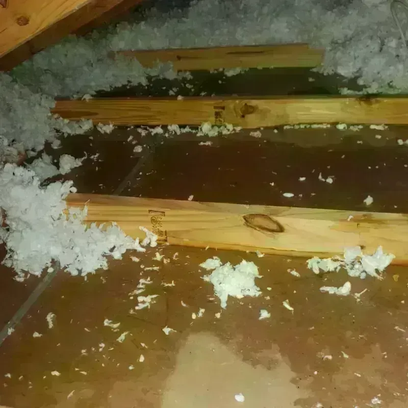 Attic Water Damage in Roselawn, IN