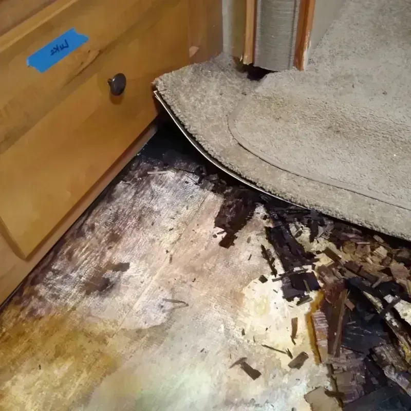 Best Wood Floor Water Damage Service in Roselawn, IN